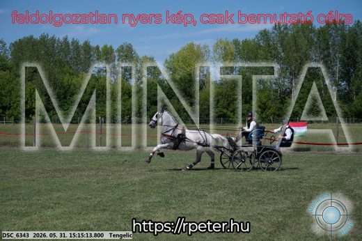 Mintakép 20260531-1197