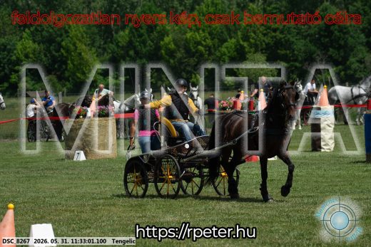 20260531-113301-DSC_8267.jpg