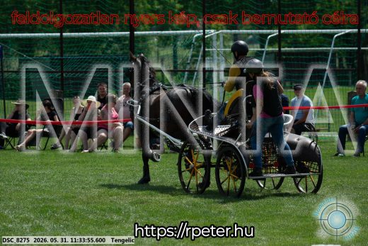 Mintakép 20260531-1211