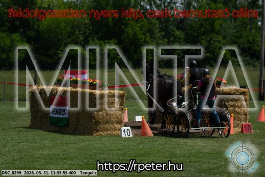 Mintakép 20260531-1231