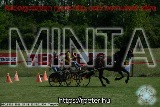Mintakép 20260531-1234