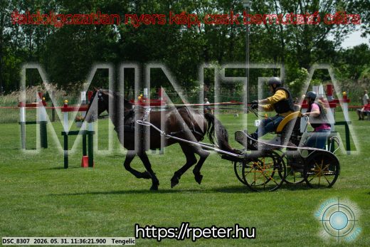 Mintakép 20260531-1239