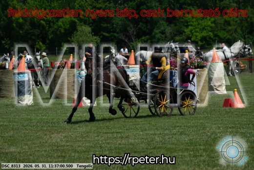 Mintakép 20260531-1243