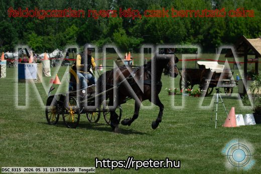 Mintakép 20260531-1244