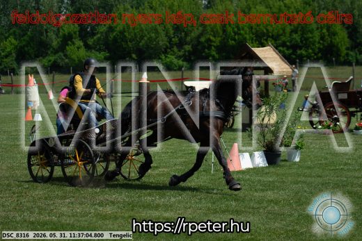 Mintakép 20260531-1245