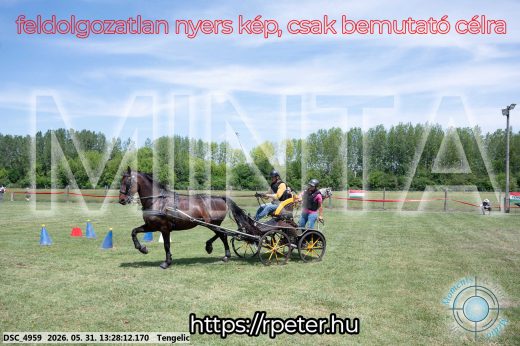 Mintakép 20260531-1251