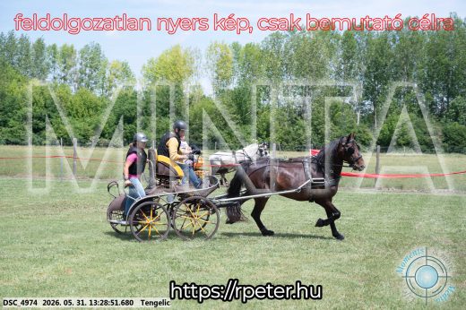 Mintakép 20260531-1270