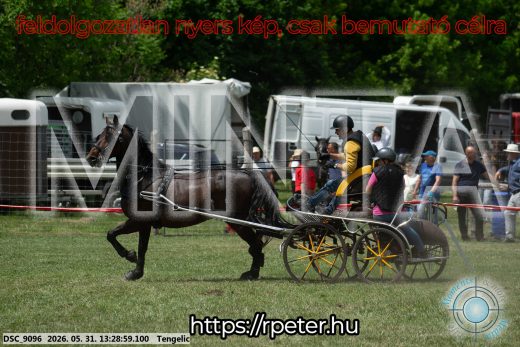 Mintakép 20260531-1278