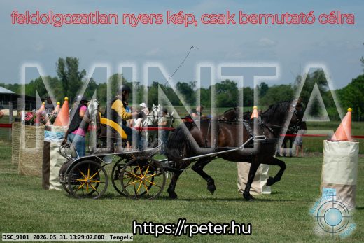 Mintakép 20260531-1284