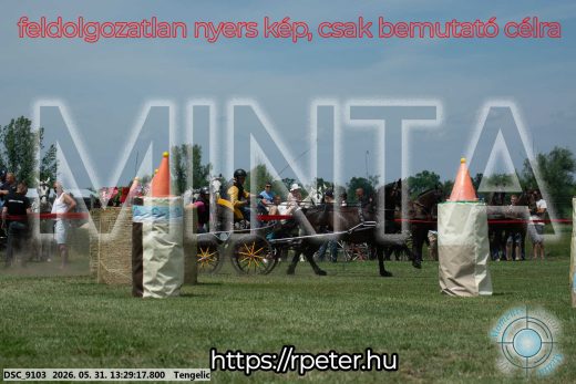 Mintakép 20260531-1286