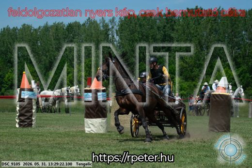 Mintakép 20260531-1287