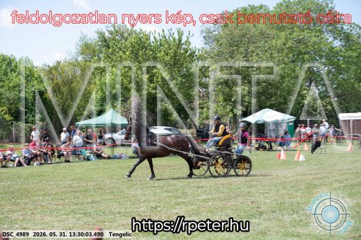 Mintakép 20260531-1298