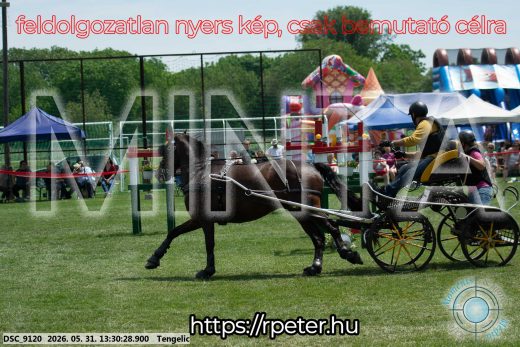 Mintakép 20260531-1311