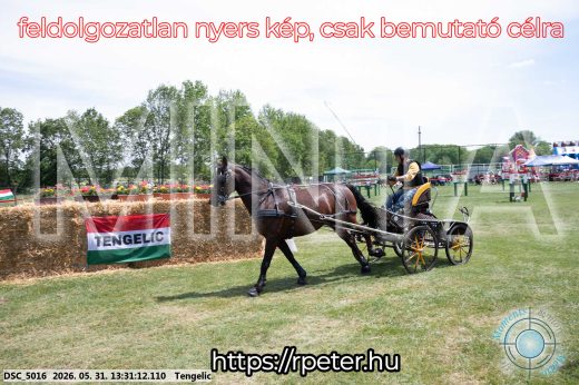 Mintakép 20260531-1316