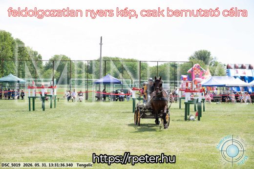Mintakép 20260531-1318