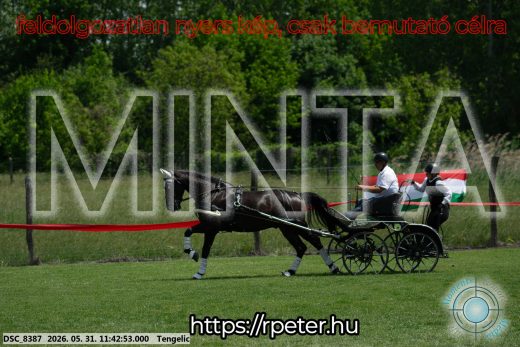Mintakép 20260531-1331