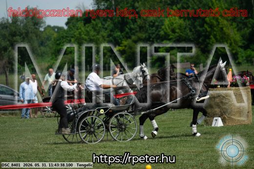 Mintakép 20260531-1344