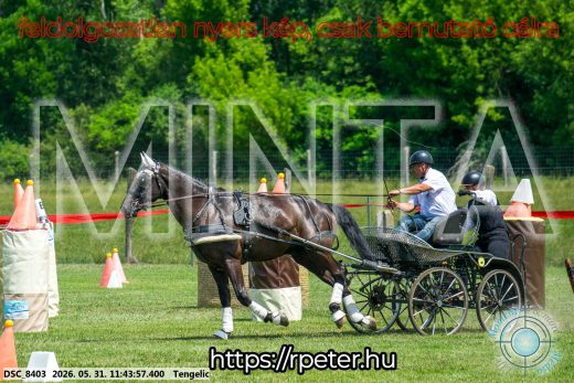Mintakép 20260531-1346