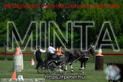 Mintakép 20260531-1349