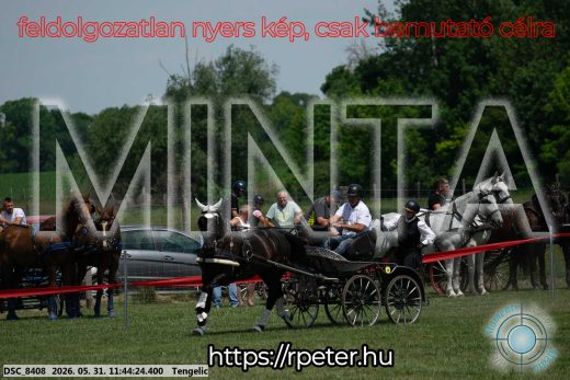 Mintakép 20260531-1350