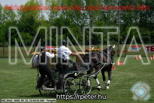 Mintakép 20260531-1354