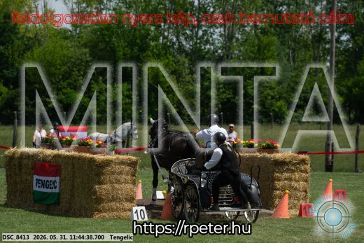 Mintakép 20260531-1355