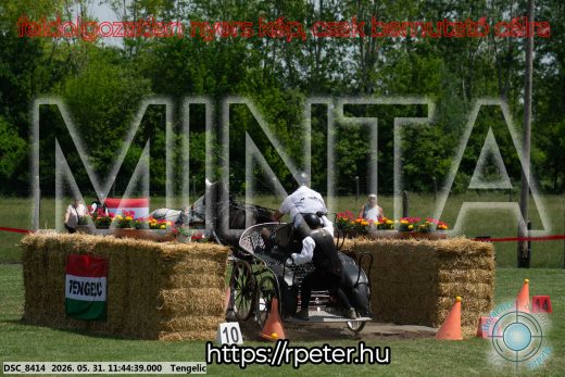 Mintakép 20260531-1356