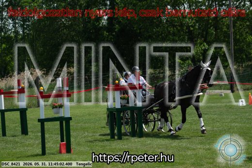 Mintakép 20260531-1362