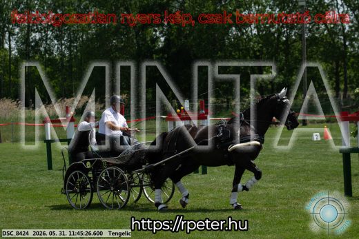 Mintakép 20260531-1365