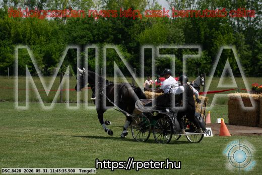 Mintakép 20260531-1369