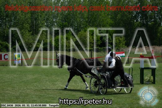 Mintakép 20260531-1377