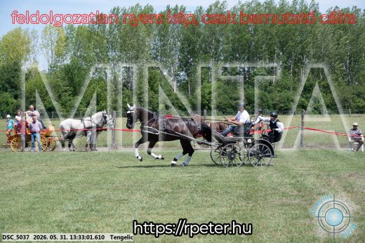 Mintakép 20260531-1384