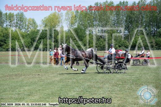 Mintakép 20260531-1386