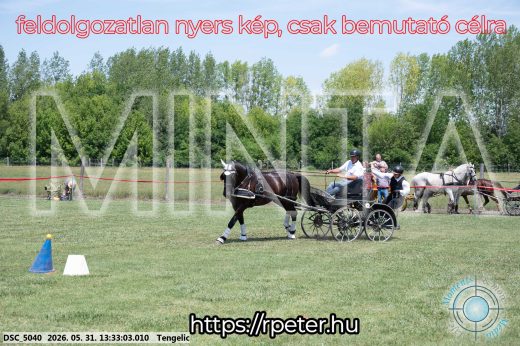 Mintakép 20260531-1387