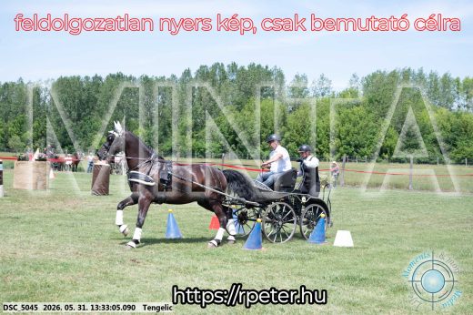 Mintakép 20260531-1391