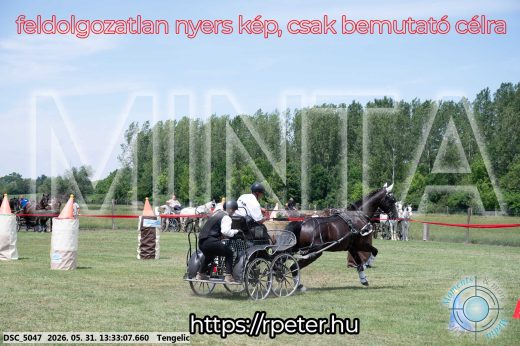 Mintakép 20260531-1393