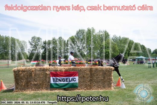 Mintakép 20260531-1401