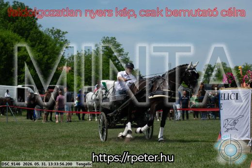 Mintakép 20260531-1416