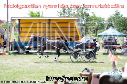 Mintakép 20260531-1423