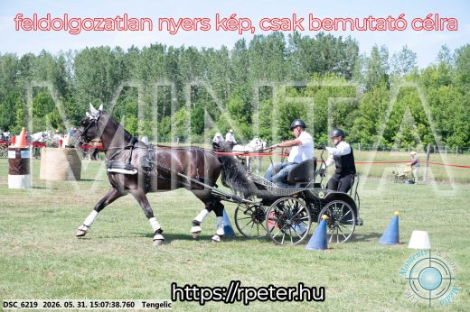 Mintakép 20260531-1447