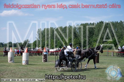 Mintakép 20260531-1448