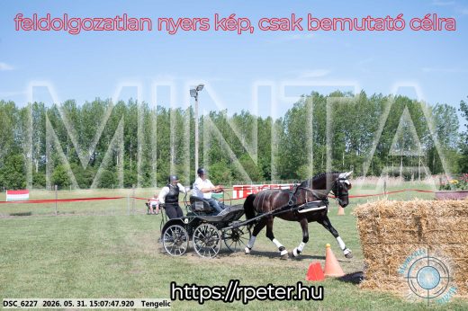Mintakép 20260531-1451