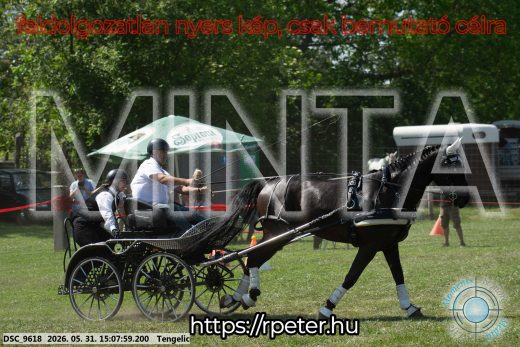 Mintakép 20260531-1455