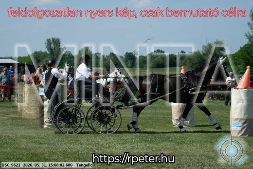 Mintakép 20260531-1458