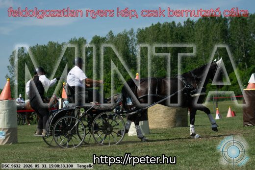 Mintakép 20260531-1466