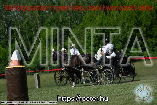 Mintakép 20260531-1469