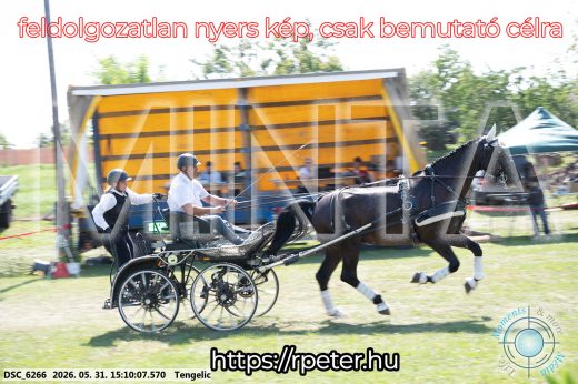 Mintakép 20260531-1479