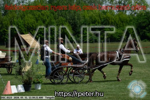 Mintakép 20260531-1488