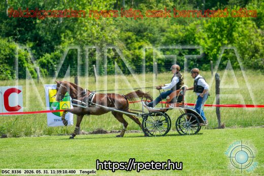 Mintakép 20260531-1497