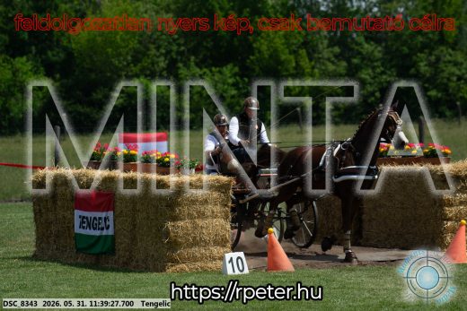 Mintakép 20260531-1503